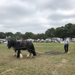 Work Horses
